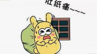 谢娜娱乐圈风波揭秘：真相与争议并存